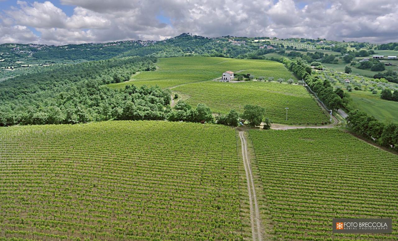 Agriturismo Vigna Sul Lago Montefiascone Exterior photo