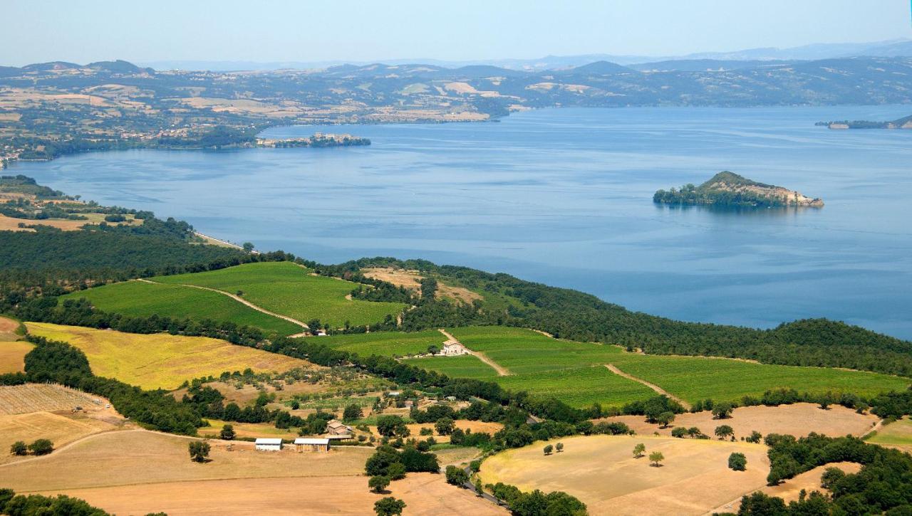 Agriturismo Vigna Sul Lago Montefiascone Exterior photo